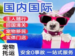 大理凤仪机场货运国际宠物托运 【国